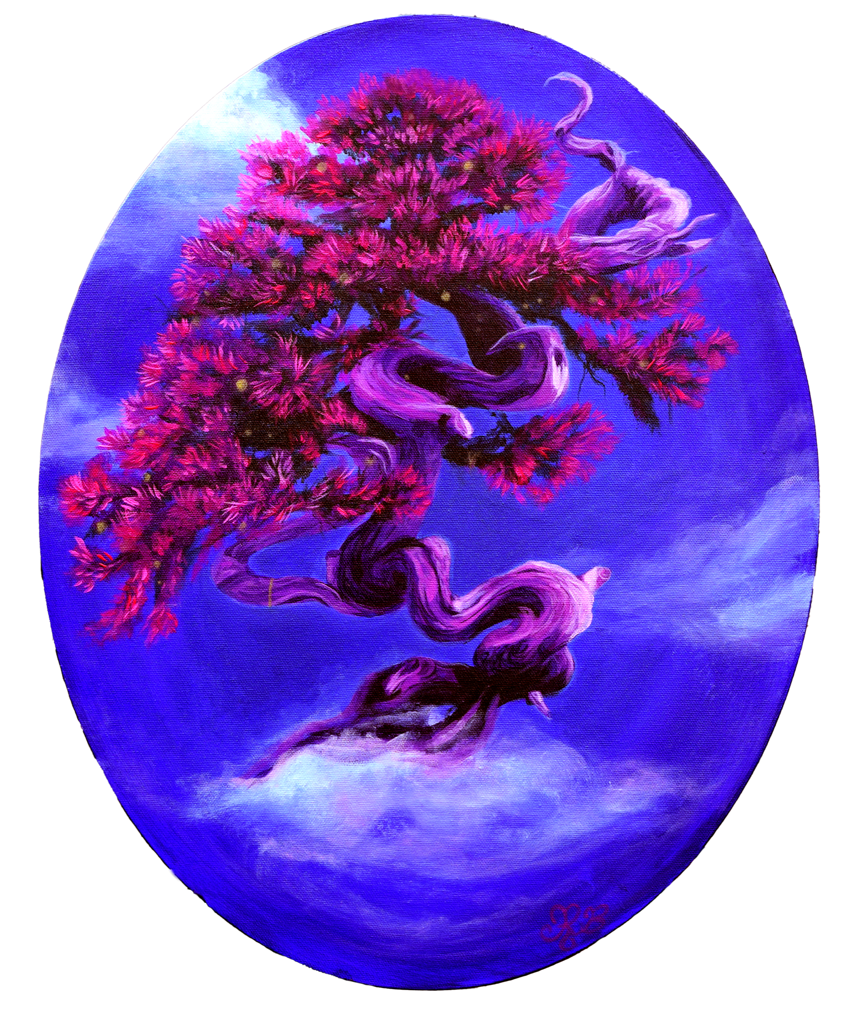 Bonsai Study